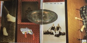 NOC Possum Inside CD art 2