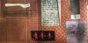 NOC Possum Inside CD art 3